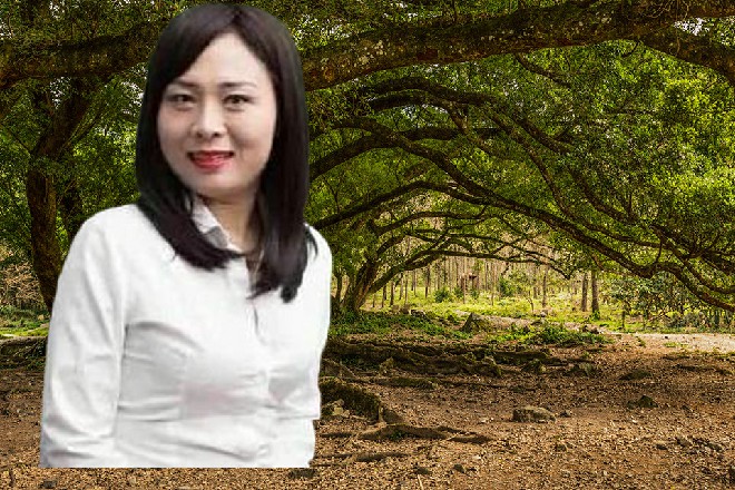 几百个座位,基本满员了。之所以说是基本,那是由于一些座位,没有对外出售。