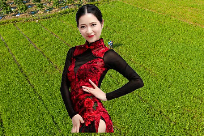 热闹了两三天，软功柔术三折却没有任何回应。这更让一些人觉得，这是心虚的表现。