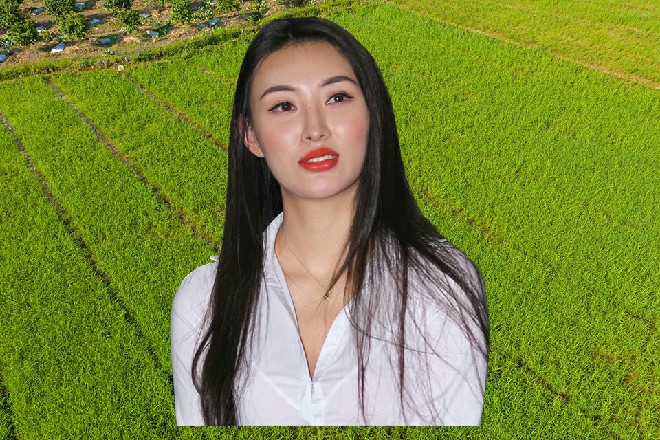 尽管软功柔术三折没提什么口号,可是许多专家、影评人,已经帮他们制定了目标。