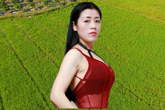 另外还有七八部贺岁剧,也是同一个时间上线,一样不缺观众,只不过上座率各有差别。