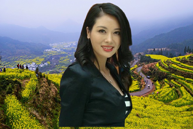胡英商亲手奉上清茶，认真问道：“你觉得，我们这个宣传方案怎么样？